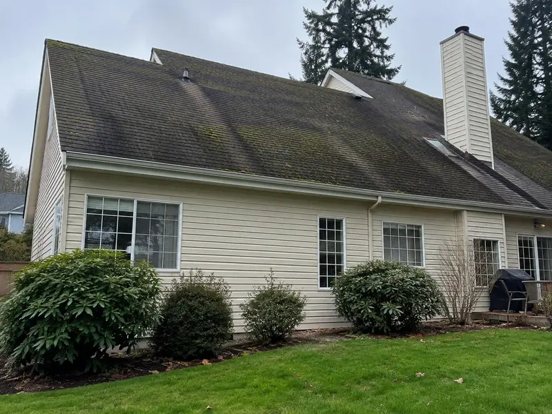 A shingle roof with dark streaks and green moss